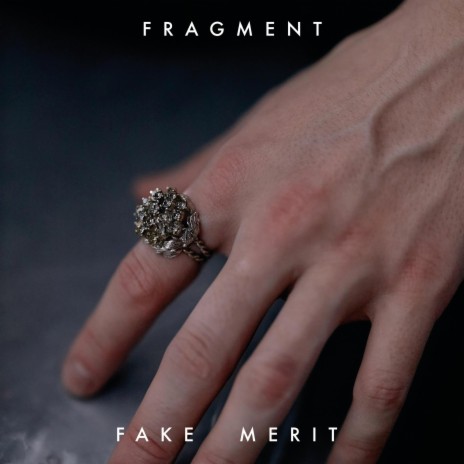 Fake Merit | Boomplay Music