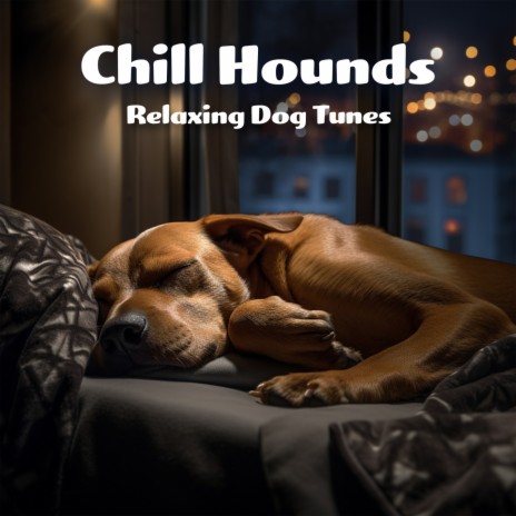 Dog relaxation music sales 9 hours