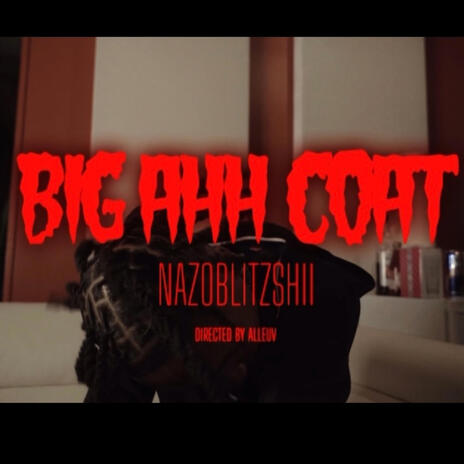 Big Ahh Coat | Boomplay Music