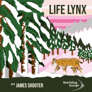 #11 LIFE Lynx - Slovenia