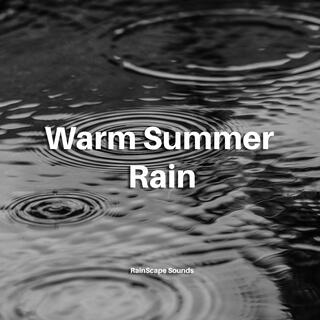 Warm Summer Rain