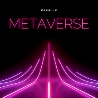 METAVERSE