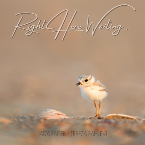 Right Here Waiting (Acoustic) ft. Tereza Fahlevi | Boomplay Music