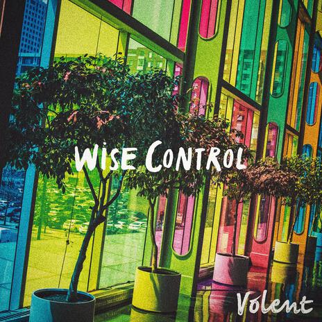 Wise Control | Boomplay Music