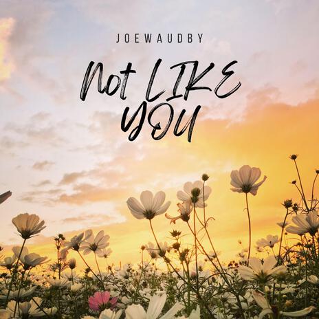 Not Like You | Boomplay Music