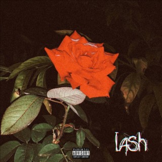 lash lyrics | Boomplay Music