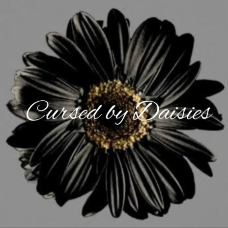 Cursed By Daisies | Boomplay Music