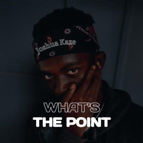 What’s The Point | Boomplay Music