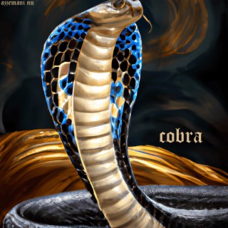 Cobra