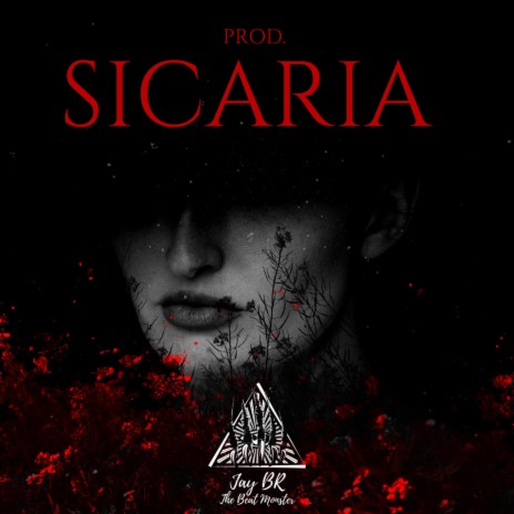 Sicaria (Instrumental Reggaeton) | Boomplay Music
