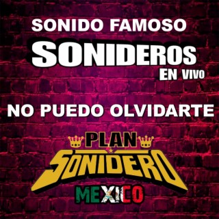 No Puedo Olvidarte (Sonido Famoso)