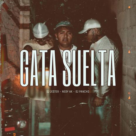 Gata Suelta ft. Dj Pancho & Nedy Ak | Boomplay Music