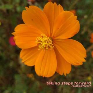 taking steps forward