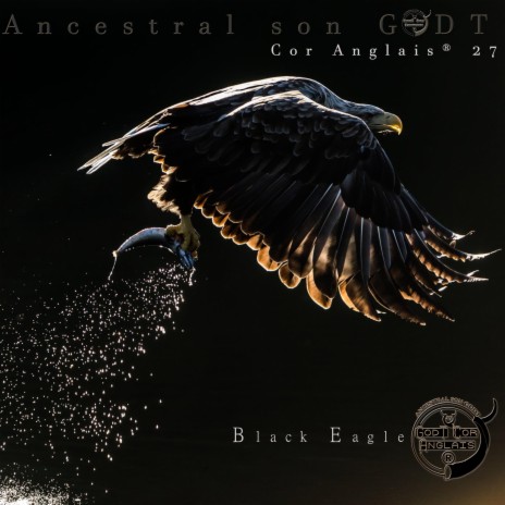 Black Eagle (Tribute) | Boomplay Music