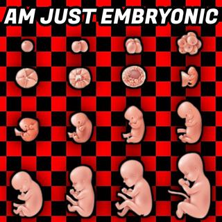 AM JUST EMBRYONIC