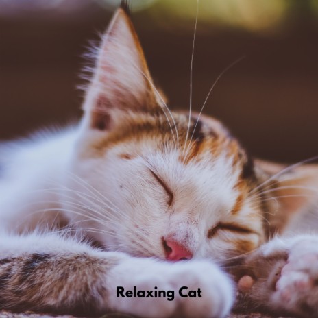 Soft Fur Relaxation Tones ft. Cat Musik Jukebox & Cat Music Therapy | Boomplay Music