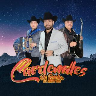 Nuevecitas 2025 Cardenales de Sinaloa