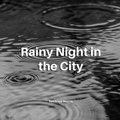 Rainy Night in the City