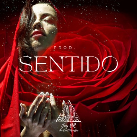 Sentido (Instrumental Reggaeton) | Boomplay Music