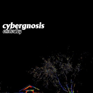 cybergnosis