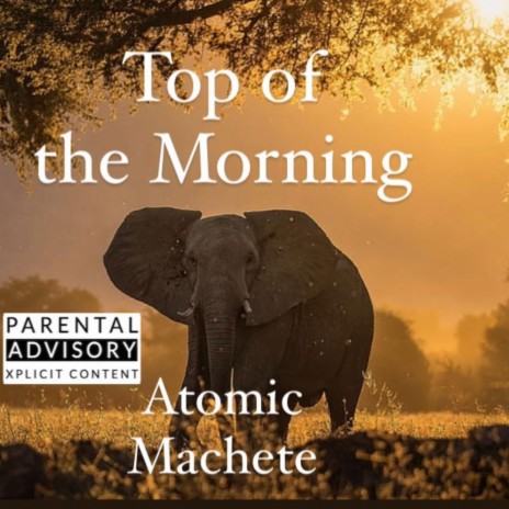 Top of the Morning | Boomplay Music