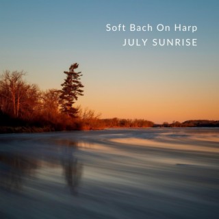 Soft Bach On Harp