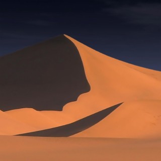 Silent Desert