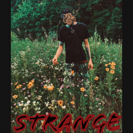 Strange! | Boomplay Music