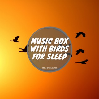 Music Box with Birds for Sleep