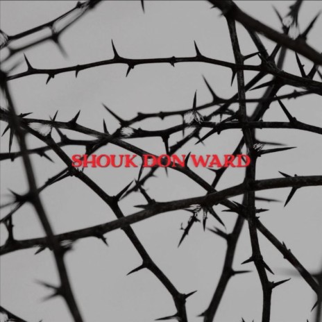 SHOK DON WARD | Boomplay Music