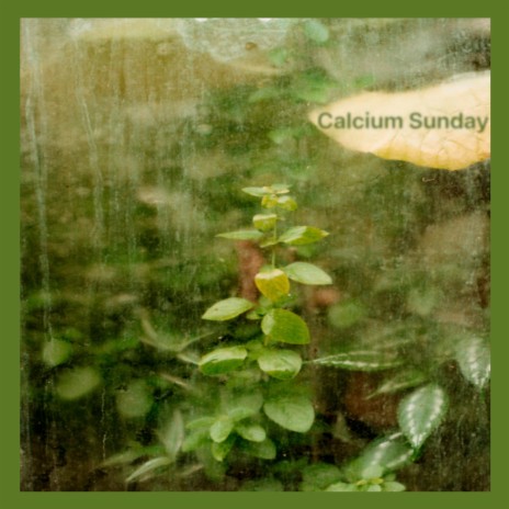 Calcium Sunday
