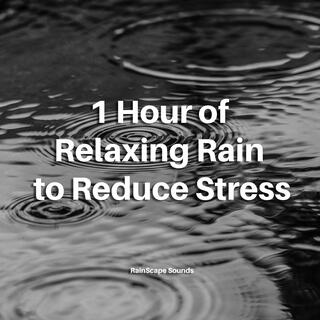 1 Hour of Relaxing Rain to Reduce Stress