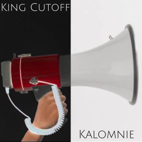 Kalomnie