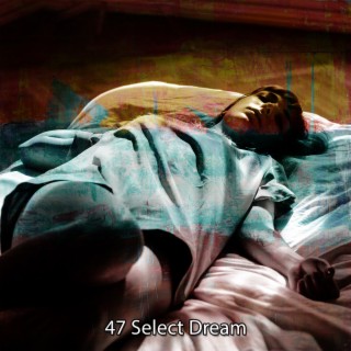 47 Select Dream