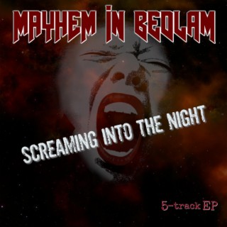 Screaming Into The Night