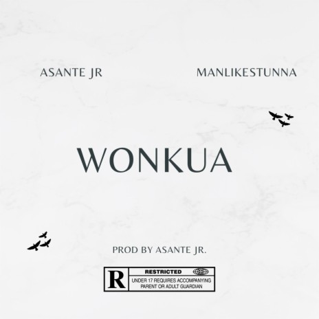 Wonkua ft. ManLikeStunna | Boomplay Music