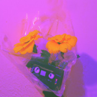 Plastic Flowers