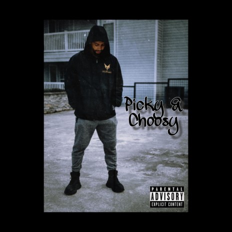 Picky and Choosy ft. Trav | Boomplay Music