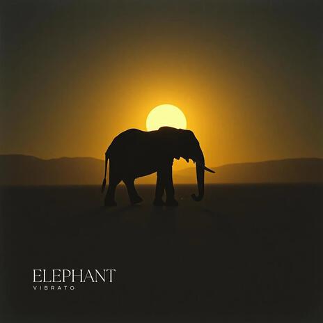 ELEPHANT | Boomplay Music