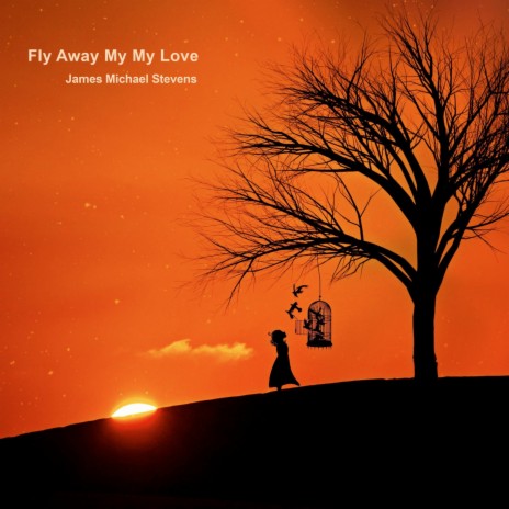 Fly Away My Love (Organ Solo) | Boomplay Music