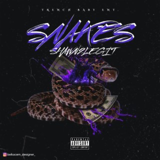 Snakes lyrics | Boomplay Music