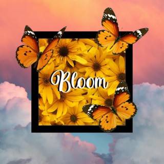 Bloom