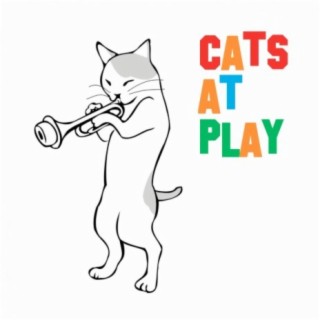 Cats at Play