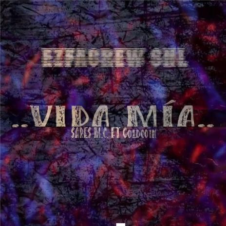 Vida Mia ft. Gold Coin | Boomplay Music