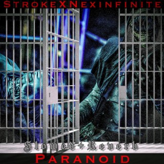 Paranoid (Slowed+Reverb)