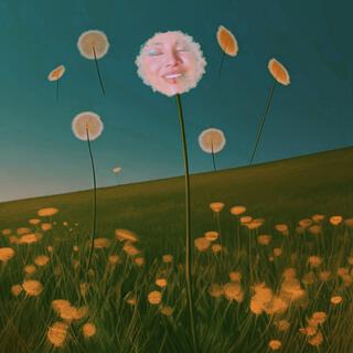 Dandelions (Back to you)