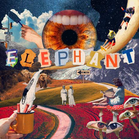 Elephant | Boomplay Music