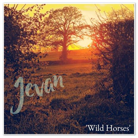 'Wild Horses' | Boomplay Music