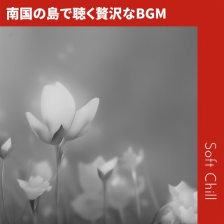 南国の島で聴く贅沢なBGM