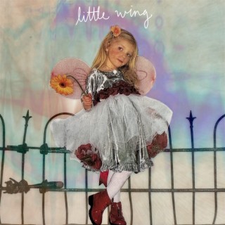 Little Wing